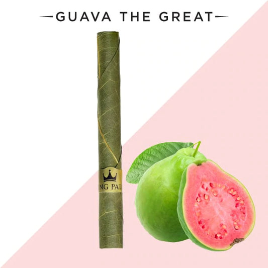 King Palm Mini Tube Guava The Great